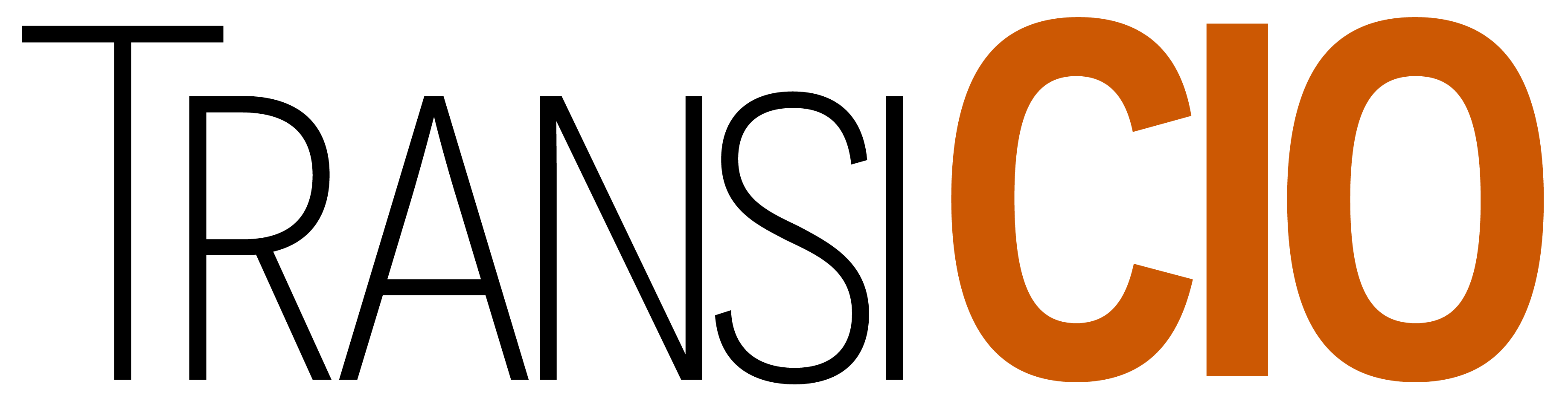 Logo principal Pierre-Alexandre MAS - DSI de transition